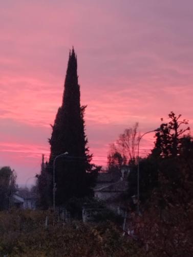 a sunset with a tree in the foreground at Comfortable house - garden and parking in Farra di Soligo
