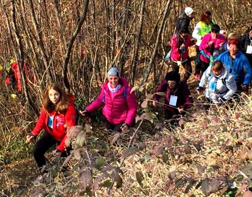a group of people sitting in the woods at Comfortable house - garden and parking in Farra di Soligo
