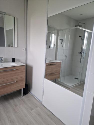 une salle de bain avec douche et lavabo dans l'établissement Maison 2 caroline, à Cadaujac