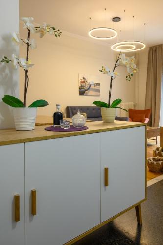 EfZin cozy house, Patras center