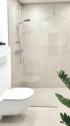 a white bathroom with a shower and a toilet at Säntisblick Apartment in Schwarzach