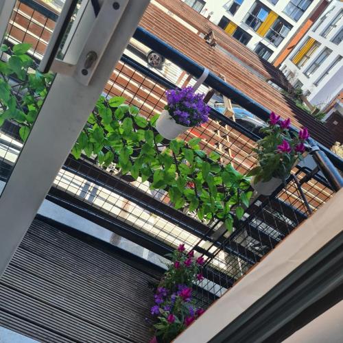 Taman di luar Exotic Jacuzzi Apartment with Balcony and Parking