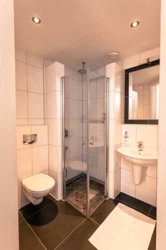a bathroom with a shower and a toilet and a sink at Bed & Breakfast El Manso in Emst