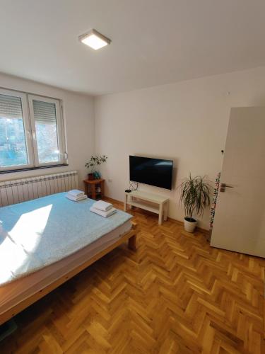 a bedroom with a bed and a flat screen tv at Ana Apartment in Novi Sad