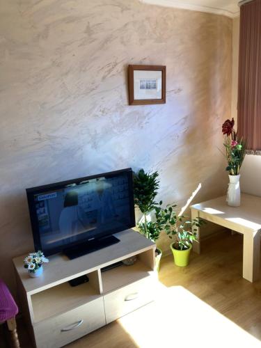 a living room with a flat screen tv on a stand at Cedar Lodge 3/4 Apartment Paradise in Bansko