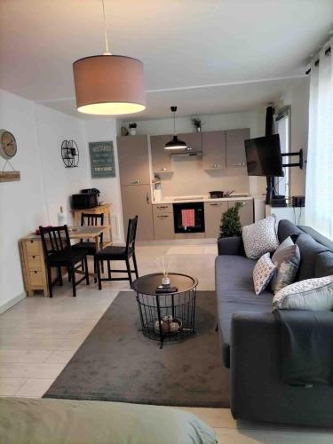 un salon avec un canapé et une table dans l'établissement Joli studio, à Lyon