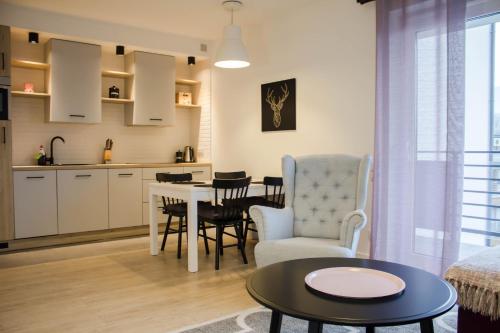 Η κουζίνα ή μικρή κουζίνα στο Apartamenty Rynek w samym centrum Ustronia - Dream Apart