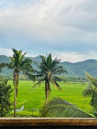 two palm trees in front of a green field at Hotel Sunil's in Kataragama