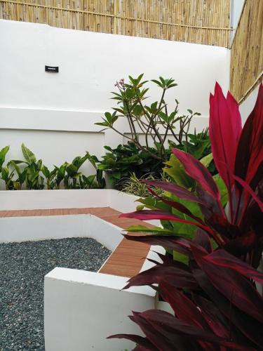 Un jardín fuera de tierra de segundo