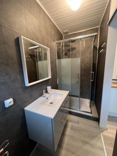 une salle de bain avec un lavabo et une douche dans l'établissement Maison 47m2 meublée 200m plage, à La Bernerie-en-Retz