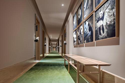 Fotografie z fotogalerie ubytování Panda Hotel v destinaci Čcheng-tu