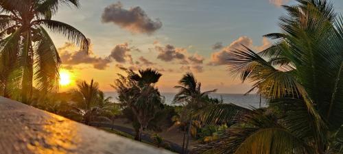 un tramonto su una spiaggia con palme e l'oceano di Mango Paradise a Saint-François