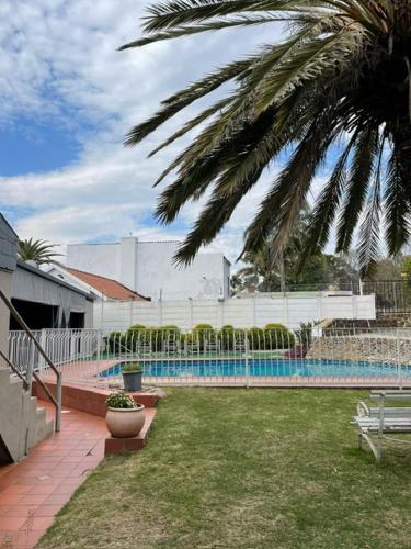 a backyard with a swimming pool and a palm tree at Zinzanathi Guest house in Ladysmith