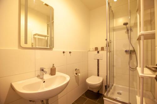 ドレスデンにあるMonteurWohnung Sporbitzer Stübchenの洗面台、トイレ、シャワー付きのバスルーム