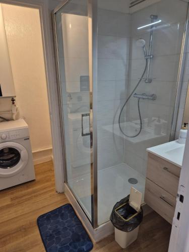 La salle de bains est pourvue d'une douche, d'un lavabo et d'un lave-linge. dans l'établissement Appartement cœur de ville, à Lorient