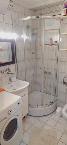 a bathroom with a shower and a washing machine at Apartman Daris in Sarajevo
