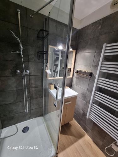 une salle de bain avec une douche et un lavabo et une perspective de douche dans l'établissement appartement près des pistes le refuge des Marmottes, à Les Deux Alpes