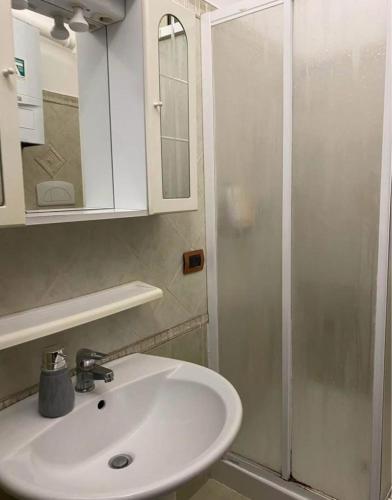 a bathroom with a sink and a shower at Alice's House in Civitavecchia