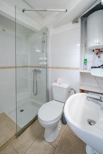une salle de bain avec toilettes, douche et lavabo dans l'établissement Cosy studio proche Gare de Nice, à Nice