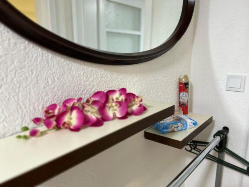 a shelf with pink flowers on it in front of a mirror at Apartment Ramdedovic1 in Sarajevo