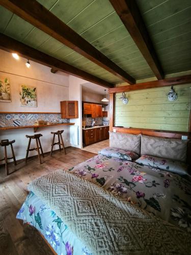 a bedroom with a large bed and a kitchen at Dri House in Rocca di Papa
