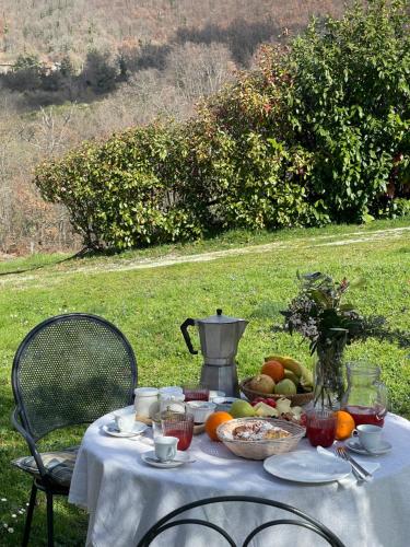 a table with food and a pitcher of juice and fruit at Agriturismo Melodie Toscane Sorano in Sorano