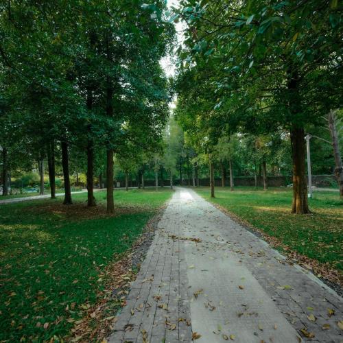 Ảnh trong thư viện ảnh của Ohstayz Villa De Estate 64 ở Kizhake Chālakudi