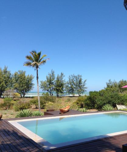 a swimming pool with a palm tree in the background at Chuiba Bay lodge in Pemba