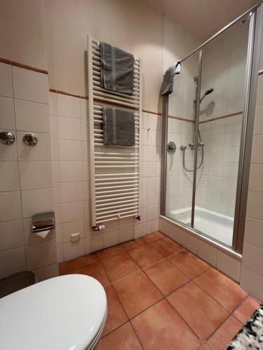 a bathroom with a shower and a toilet at Hotel Kösters in Schloß Holte-Stukenbrock