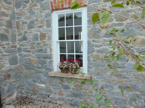Φωτογραφία από το άλμπουμ του Charming townhouse with sunny garden σε Donaghadee