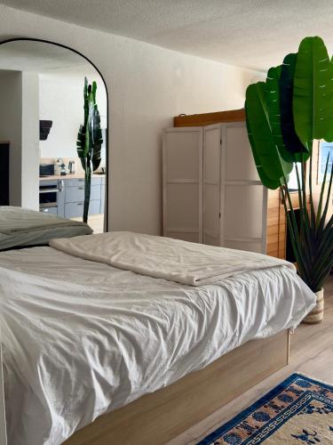 - une chambre avec un lit et un grand miroir dans l'établissement Luxuria - Heliopolis C - Histoire de clés, au Cap d'Agde