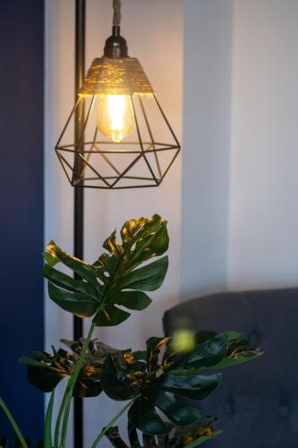 a pendant light with a plant in a room at 4 Bedroom House-Sleeps 8-Parking in Devizes
