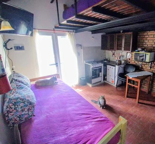 Kuchyň nebo kuchyňský kout v ubytování Laitale Uturu