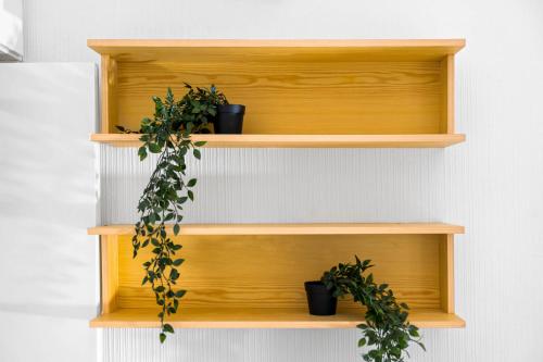 a wooden shelf with potted plants on a wall at Modern Four Bed House - Parking - Garden - Netflix 802W in Birmingham