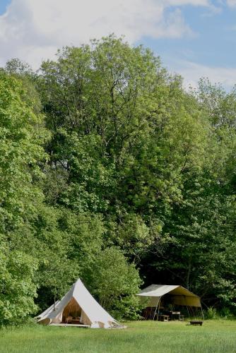 two tents in a field next to trees at Lickham Bottom Camping in Hemyock