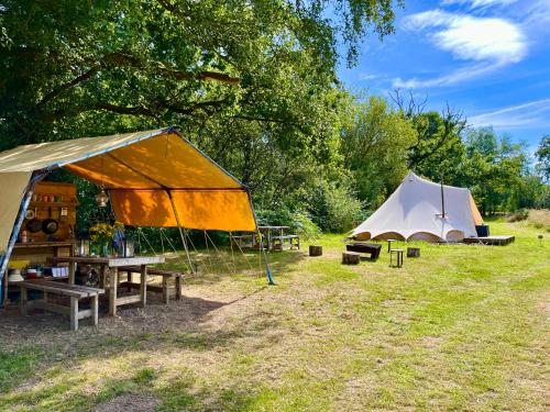 HemyockLickham Bottom Camping的两个帐篷和一个野餐桌