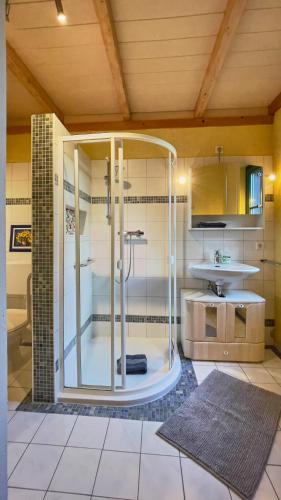 a shower with a glass door in a bathroom at Hotel Olbernhau mit Sauna - Kleines Landhotel zur Ofenschenke in Olbernhau