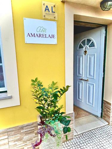 a building with a door and a plant in front of it at Amarelaje in Serra de El-Rei