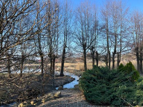 a group of trees and a stream in a field at 7 STODOŁA - Hotel butikowy in Osiek