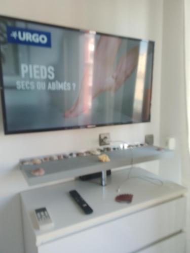 Elle comprend une télévision à écran plat. dans l'établissement studio au port d'Agde proche des plage, au Cap d'Agde