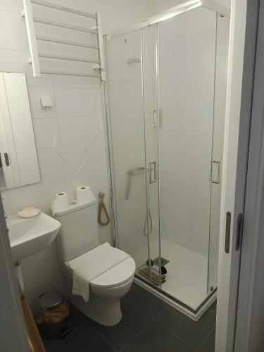 a bathroom with a shower and a toilet and a sink at Pedra do Mar in São Roque