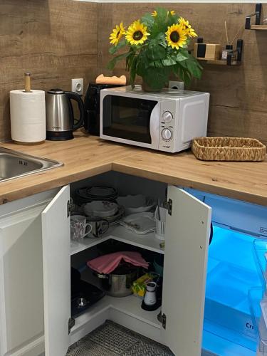a microwave sitting on top of a kitchen counter at Centro apartments Rokiškis in Rokiškis