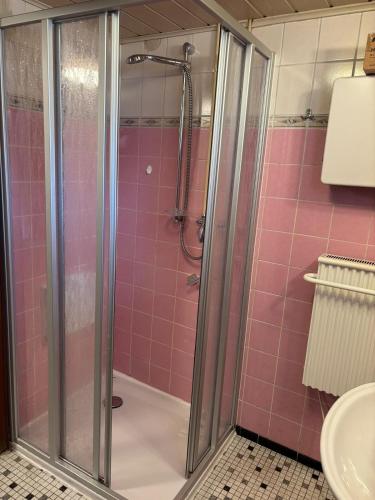 a shower in a bathroom with pink tiles at Ferienhaus Schouhfranzen in Gornhausen