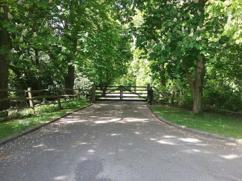 a tree lined road with a fence and trees at Redlands cottage self check in! in West Chiltington