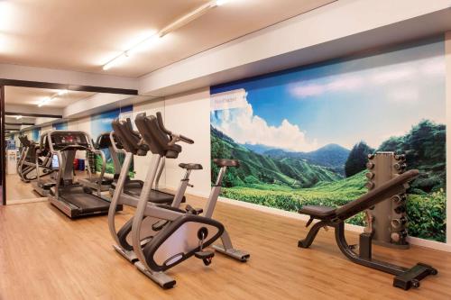 Fitness centrum a/nebo fitness zařízení v ubytování NH Buenos Aires Tango