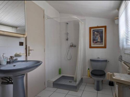 une salle de bain avec un lavabo, des toilettes et une douche dans l'établissement Maison Familia - 8 pers - Histoire de Clés, au Cap d'Agde