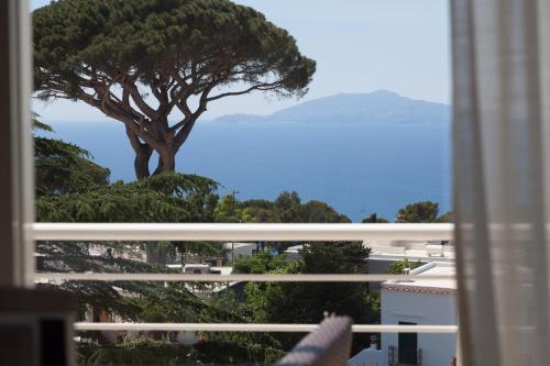 a window with a view of a tree and the ocean at Jumeirah Capri Palace in Anacapri