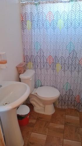 a bathroom with a toilet and a sink and a shower curtain at Cabaña San Isidro in Coipue
