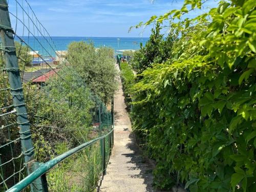 a path through a hedge with the ocean in the background at Casa Archi in Cefalù