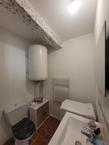 une salle de bain blanche avec des toilettes et un lavabo dans l'établissement Grand studio chez Lucie, à Cotignac